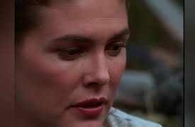 American Gothic Season 1: Meet the Beetles