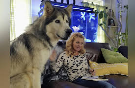 Our Wild Life Season 1: Welcome to the Family