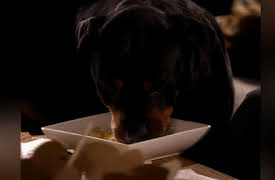 Human Target: The Complete First Season: Run