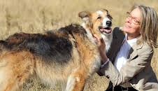 Darling Companion - Ein Hund fürs Leben