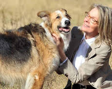 Darling Companion - Ein Hund fürs Leben