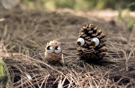 Pops and Peanut: Season 1: Elephant