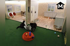 Meow Manor: Cat-titude is Everything