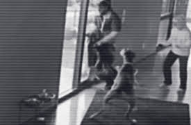 Crimes Gone Viral Season 1: Watch Dogs