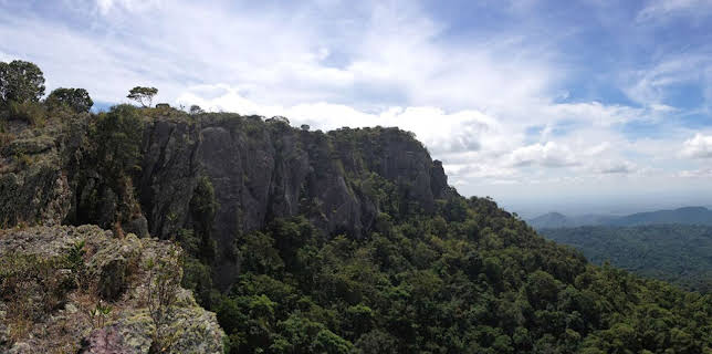 10:25: Kontinente in Bewegung | Arte | 2/16 2026