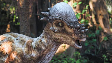 5:05 PM: Andy's Dino Island (S1) | Cbeebies | 3/31 2026