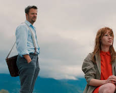 Animals - Stadt Land Tier