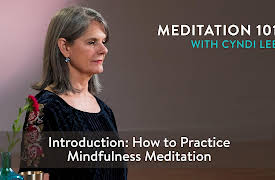 Meditation 101: Introduction: How to Practice Mindfulness Meditation