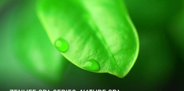 ZenLIFE Spa Series: Nature Spa (2023)