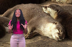 First Stop News: Exploring the Sea Animals