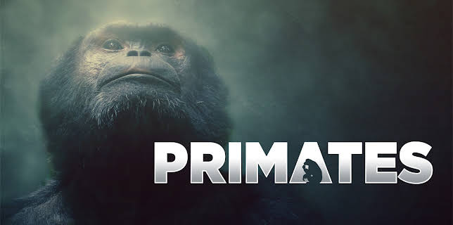 Primates, Season 1