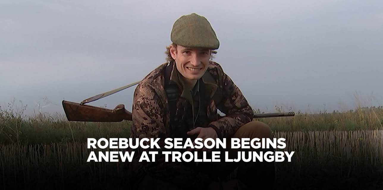 Roebuck Season Begins Anew at Trolle Ljungby