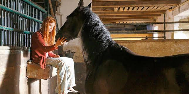 07:05: Ostwind (1) | Das Erste | 2/8 2026