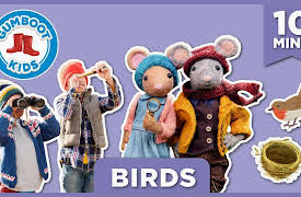 The Gumboot Kids: Nests