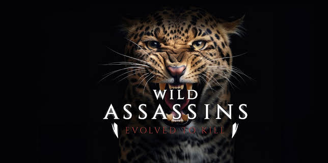 Wild Assassins