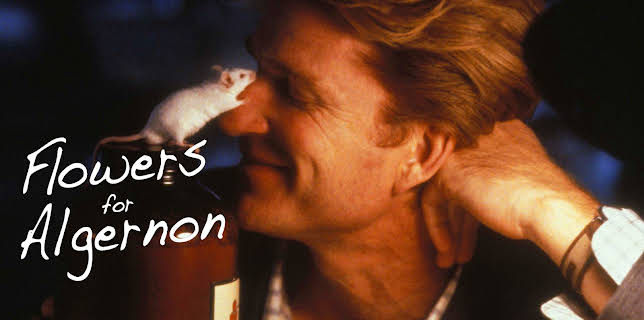 Flowers for Algernon (2000)