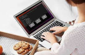 Introduction to C++: Programming Concepts and Applications: Variables, Computations, and Input in C++