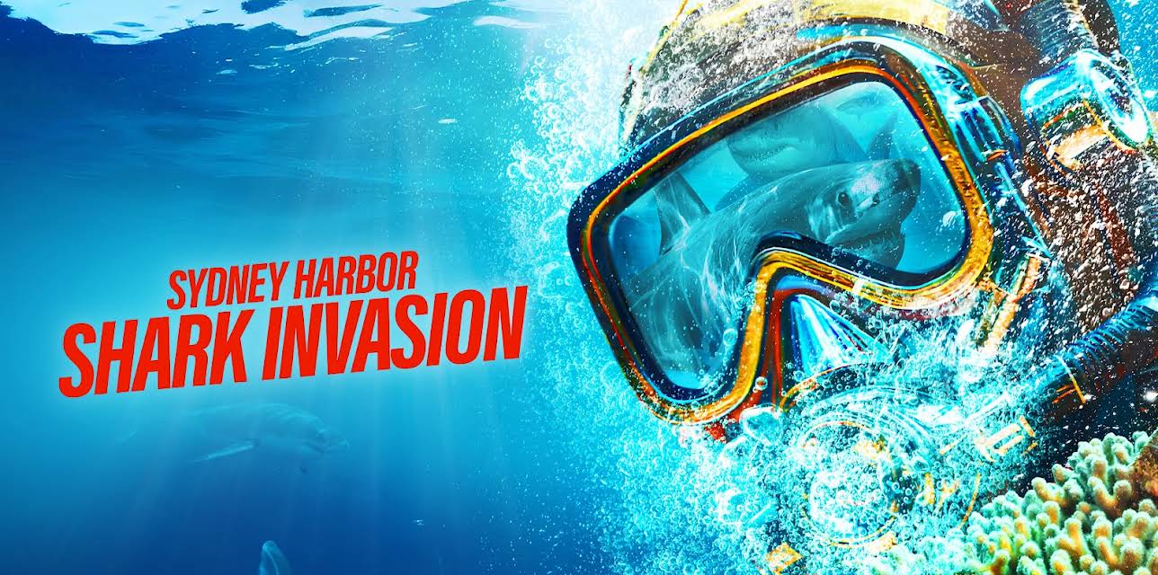 Sydney Harbor Shark Invasion