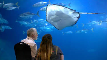 3:30 PM: Secrets of the Aquarium (S1) | BBC Two | 10/30 2026