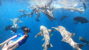 01:40: Españoles en el mundo: Maldivas, el paraíso del Índico | DARK | 7/24 2025