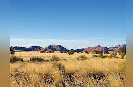 Introduction to Paleontology: The Not-So-Humble Story of Grass