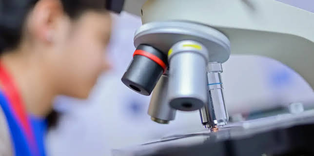 17:15: Rund um den Michel: Hamburg forscht! | NDR Fernsehen | 2/28 2026