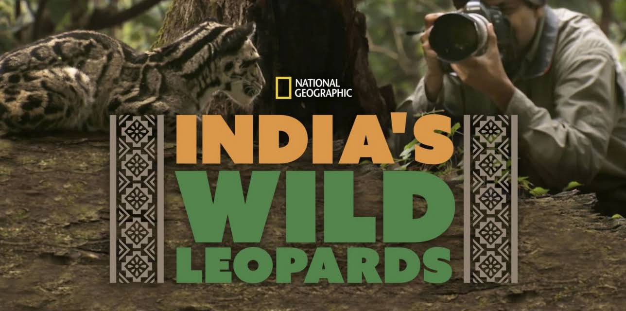 India's Wild Leopards