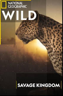 13:35: Savage Kingdom: El principio de la oscuridad | Nat Geo Wild | 4/4 2026