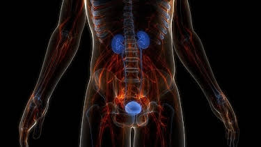 11:40: aktiv und gesund | SWR Fernsehen RP | 3/31 2026