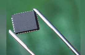 The Science of Information: From Language to Black Holes: The Transformability of Information