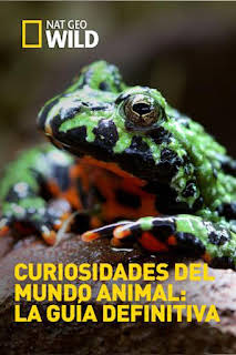 07:00: La increíble granja del Dr. Pol: El nacimiento de una granja | Nat Geo Wild | 12/28 2025