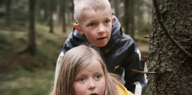 06:45: Trio (3) | NDR Fernsehen | 1/18 2026