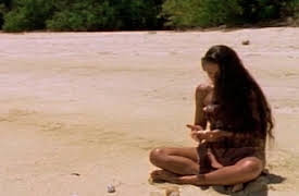 The Adventures of Swiss Family Robinson: Princess from the Sea Part 2