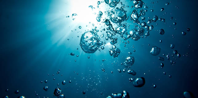 13:05: Gamechangers: Inventing The World (S1 E4) (S1) | Animal Planet | 11/9 2025