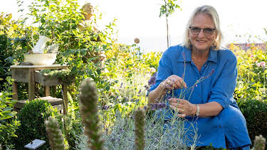 11:10: Garten & Lecker | WDR Fernsehen | 8/12 2026