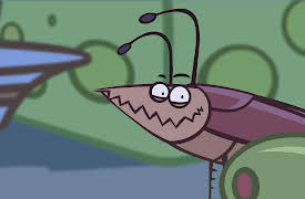 I'm a Creepy Crawly: Cockroach