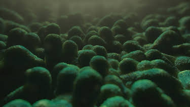 06:20: Natur macht Geschichte | ZDFinfo | 3/27 2026