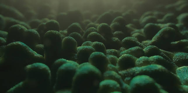 17:15: Natur macht Geschichte | ZDFinfo | 12/20 2025