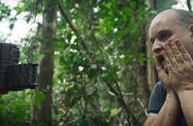 The Wild Ones: Gorillas