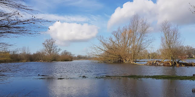 22:40: Einsatz im Naturparadies | ARD Alpha | 3/11 2026