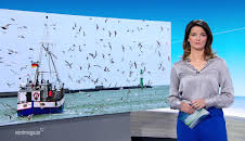 Nordmagazin