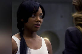 Nikita: Season 1: Free