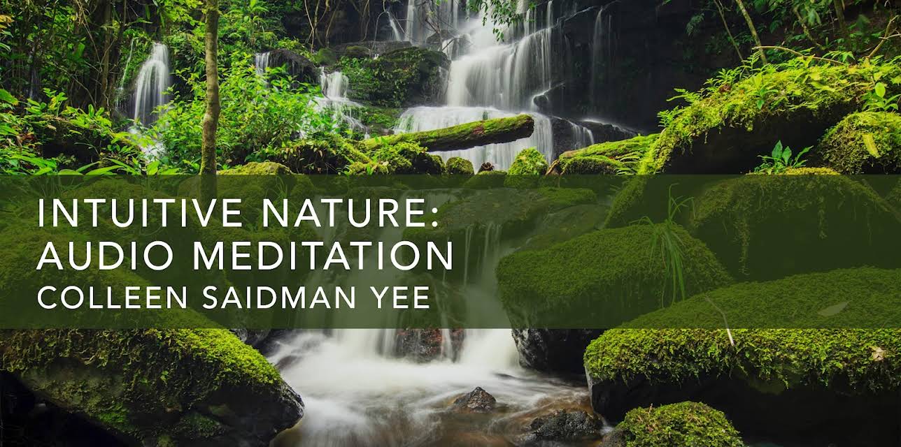 Intuitive Nature: Audio Meditation (2022)