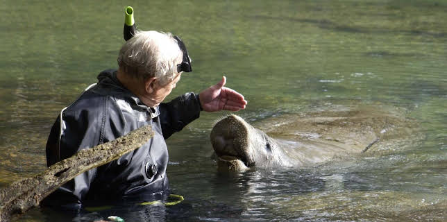 5:00 PM: The Life of Mammals (S1 E7) (S1) | Yesterday | 12/14 2025