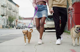 It's Bruno!: Välkommen, Bruno