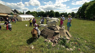 11:30: die nordreportage: Von wegen lila Kühe | Radio Bremen | 5/2 2026