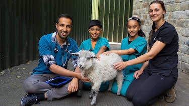 9:05 AM: Animal Care Club (S2 E1) (S2) | Channel 5 | 6/13 2026