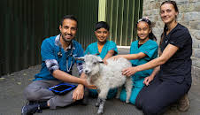 Animal Care Club (S2 E2)