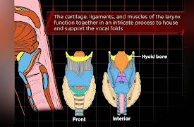 How to Sing: Sound Production