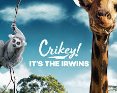 It's A Baby Giraffe!